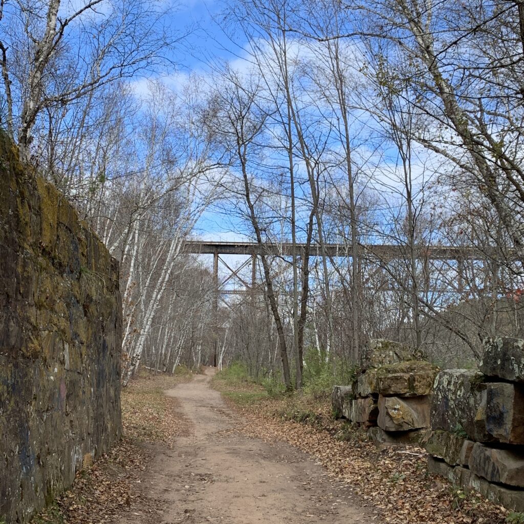 Train Bridge, Robinson Park